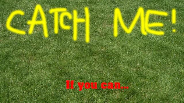 Catch Me if You Can! Catch Me if You Can!