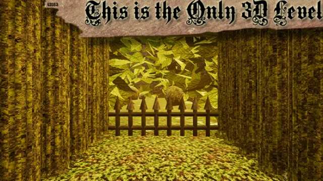 This is the Only 3D Level This is the Only 3D Level